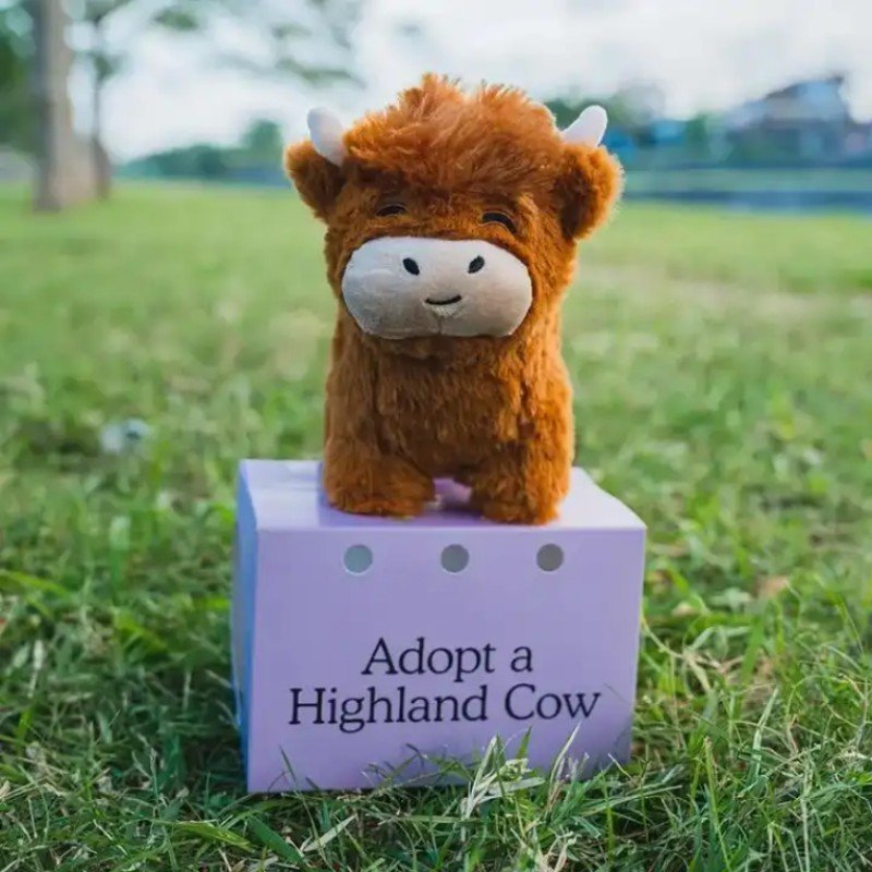 Adopt a  Highland Cow Plush