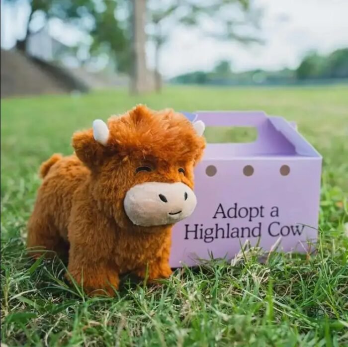 Adopt a  Highland Cow Plush - Image 4